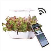 Adonis tabletop planter system with app control manufactured by LumiAgro
