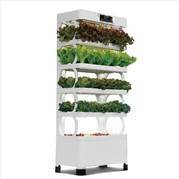 Demeter restaurant lettuce and herb plant system manufactured by LumiAgro