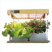 Adonis bamboo countertop planter system manufactured by LumiAgro
