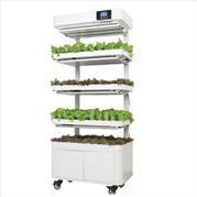 Demeter large kitchen lettuce and herb plant system manufactured by LumiAgro